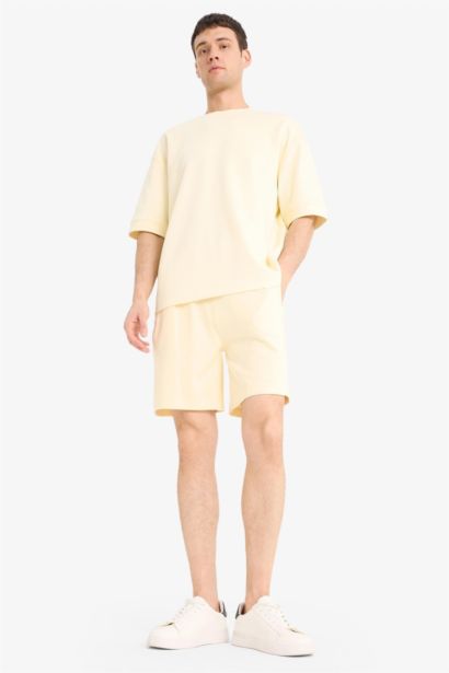Regular Fit Regular Hem Shorts