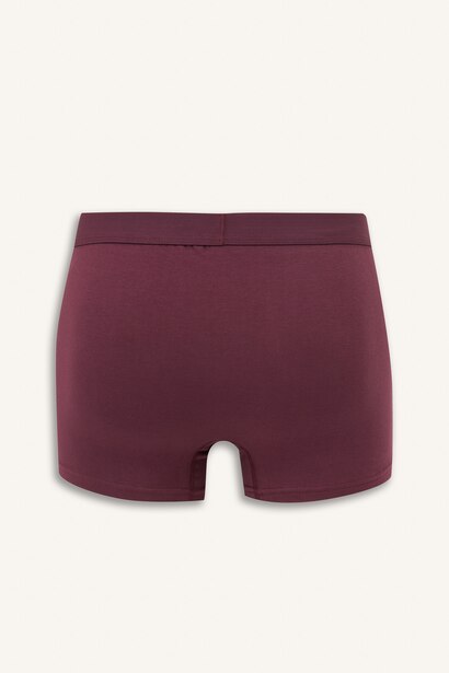 Regular Fıt 3'lü Boxer