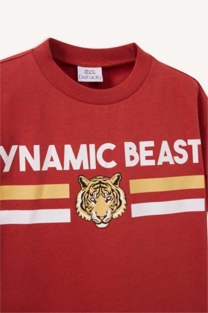 Baby Boy Regular Fit Printed Short Sleeve T-Shirt