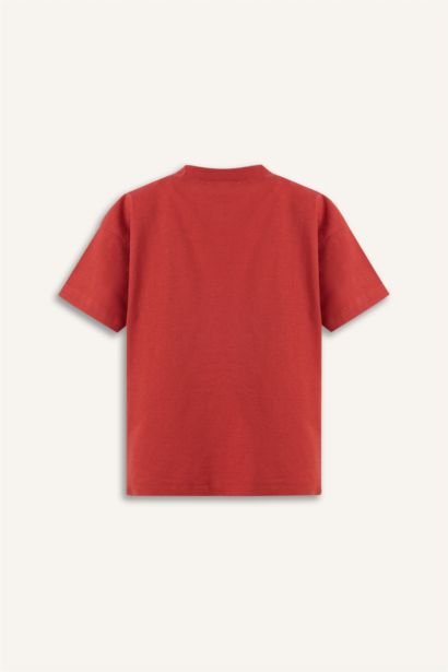 Baby Boy Regular Fit Printed Short Sleeve T-Shirt