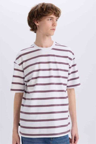 Cotton Boxy Fit Crew Neck Striped T-Shirt