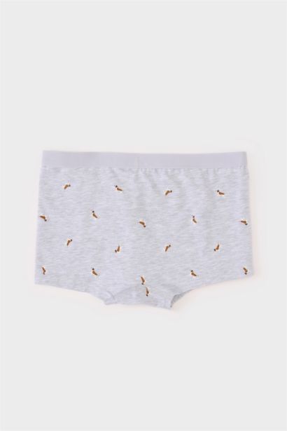 Boy Patterned 3 Piece Boxers