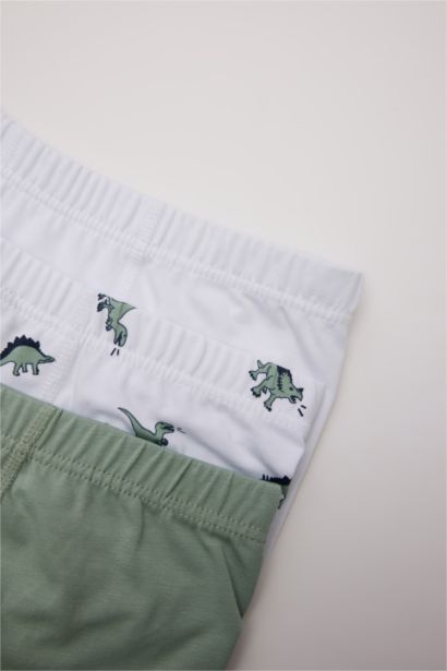 Boy Animal Patterned 3 Piece Boxers