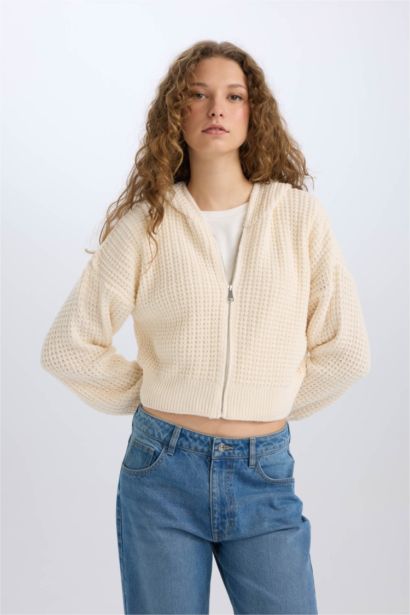 Regular Fit Kapüşonlu Fermuarlı Triko Hırka