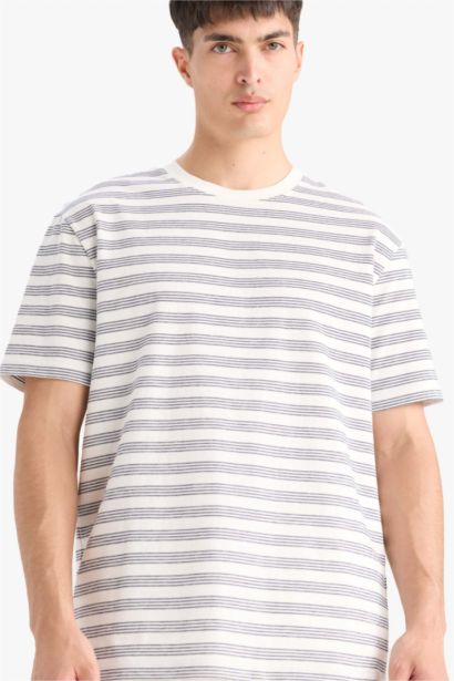 Regular Fit Crew Neck Striped T-Shirt