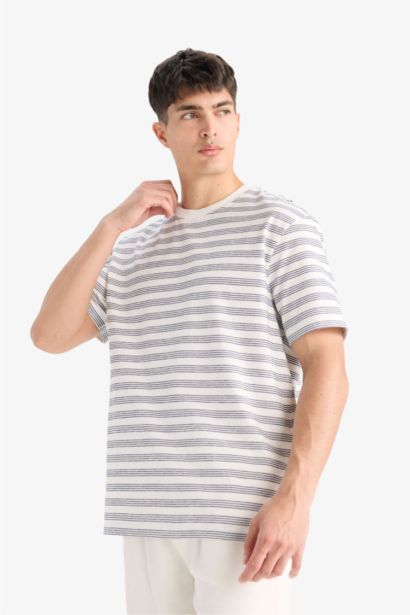 Regular Fit Crew Neck Striped T-Shirt