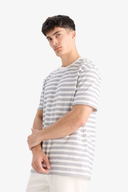 Regular Fit Crew Neck Striped T-Shirt