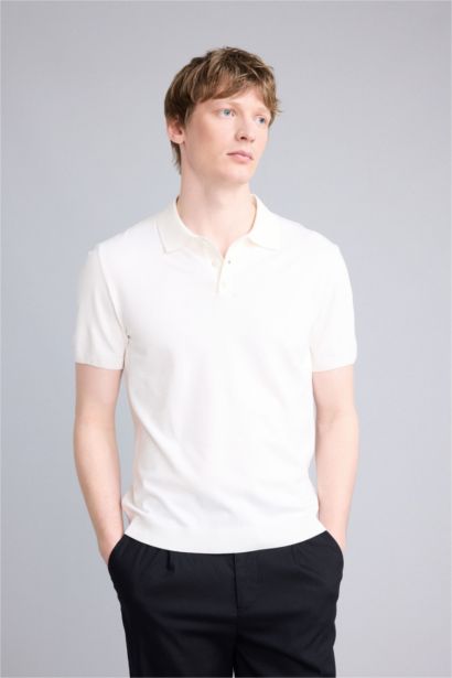 Standard Fit Short Sleeve Knitwear Polo T-Shirt