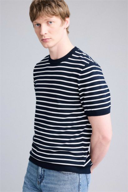 Standard Fit Crew Neck Striped Knit T-Shirt