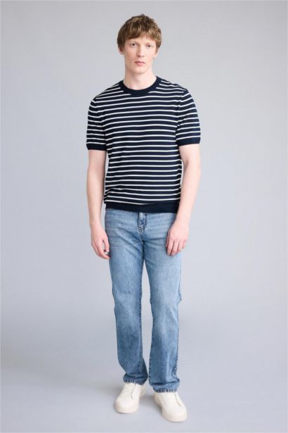 Standard Fit Crew Neck Striped Knit T-Shirt