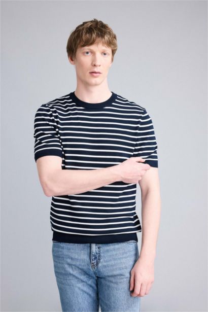 Standard Fit Crew Neck Striped Knit T-Shirt