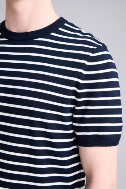 Standard Fit Crew Neck Striped Knit T-Shirt