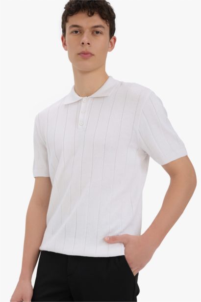 Standard Fit Polo Collar Knitwear Polo T-Shirt