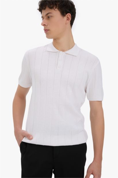 Standard Fit Polo Collar Knitwear Polo T-Shirt