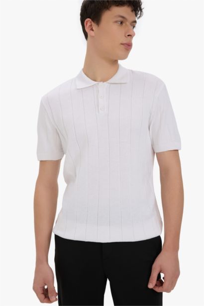 Standard Fit Polo Collar Knitwear Polo T-Shirt