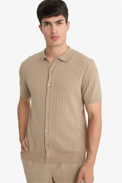 Standart Fit Polo Yaka Triko Kısa Kollu Tişört