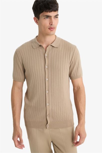 Standart Fit Polo Yaka Triko Kısa Kollu Tişört