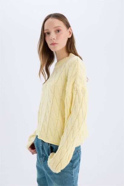 Regular Fit Pullover