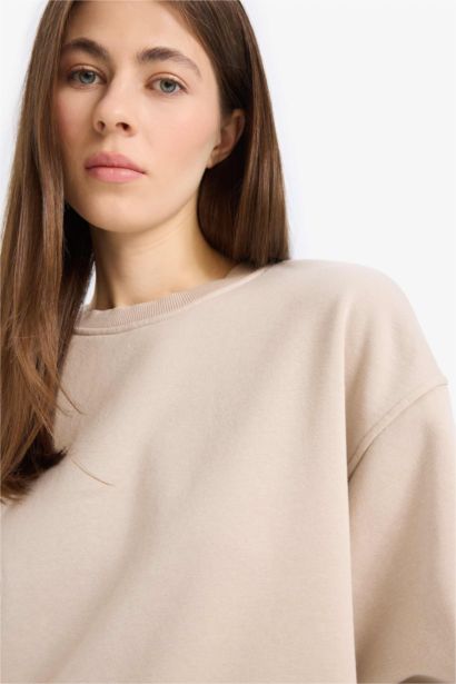Boxy Fit Crew Neck Basic Thick Sweatshirt