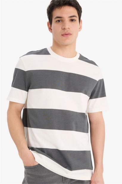 Cotton Regular Fit Crew Neck Striped T-Shirt