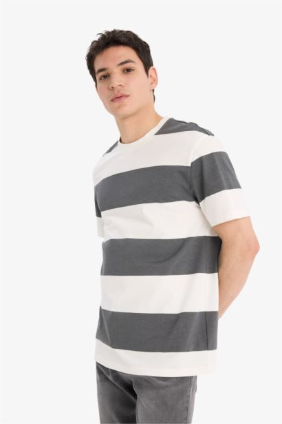 Cotton Regular Fit Crew Neck Striped T-Shirt