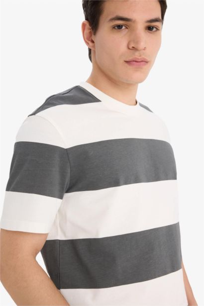 Cotton Regular Fit Crew Neck Striped T-Shirt