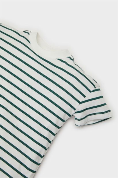 Baby Boy Crew Neck Striped T-Shirt
