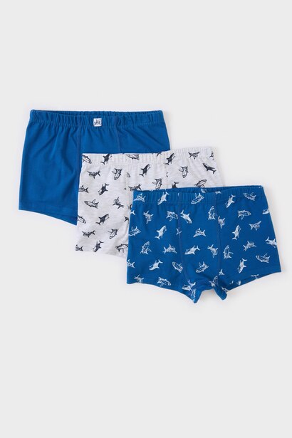 Boy Animal Patterned 3 Piece Boxers