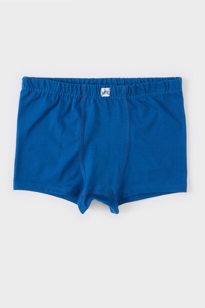 Boy Animal Patterned 3 Piece Boxers