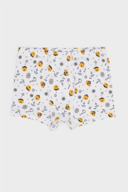 Boy Patterned 3 Piece Boxers