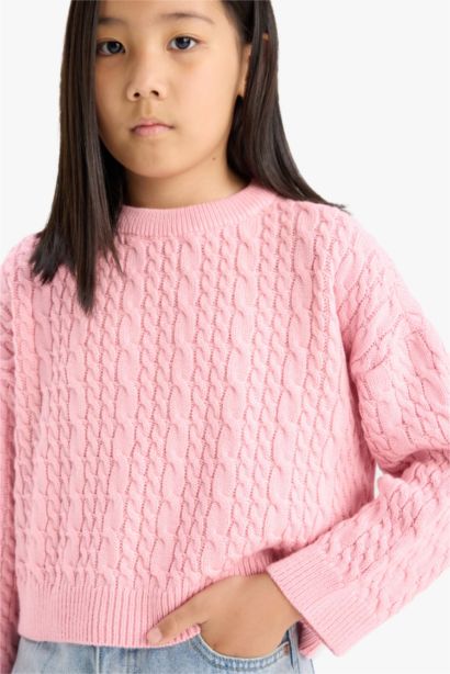 Girl Standard Fit Crew Neck Pullover