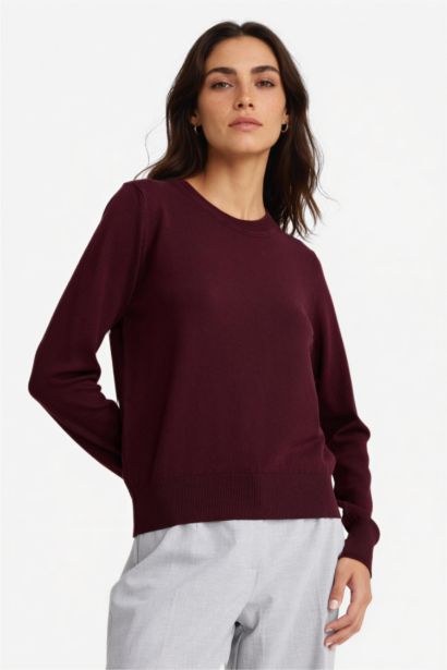 Regular Fit Bisiklet Yaka Triko Kazak