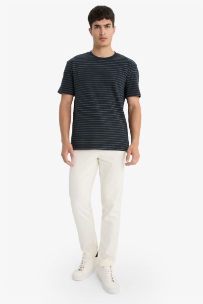 Regular Fit Bisiklet Yaka Çizgili Kısa Kollu Tişört