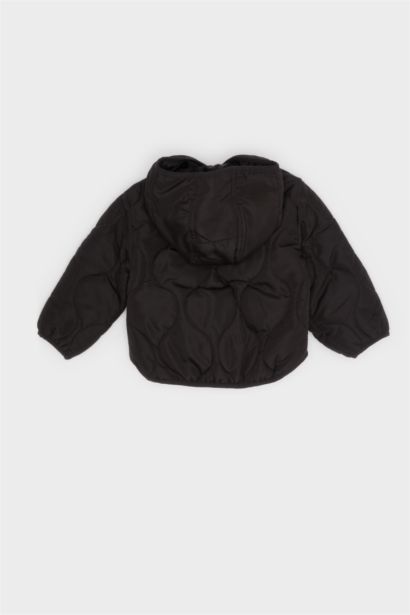 Su Geçirmez Kapüşonlu Çıtçıtlı Kapitoneli Mont Erkek Bebek