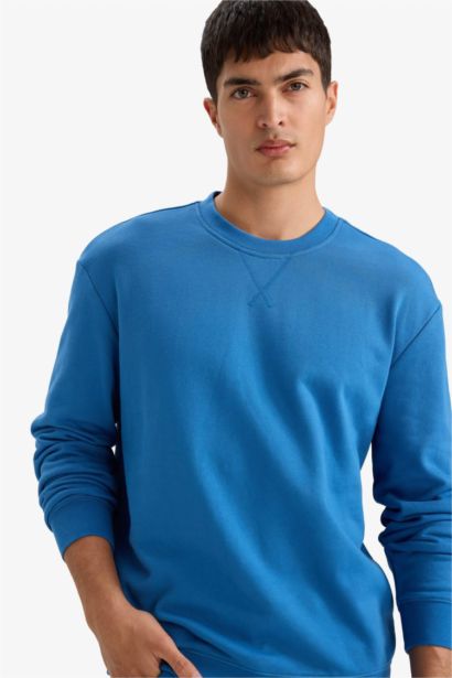 Regular Fit Cotton Basic Sweatshirt
