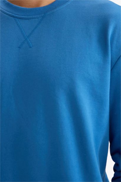 Regular Fit Cotton Basic Sweatshirt