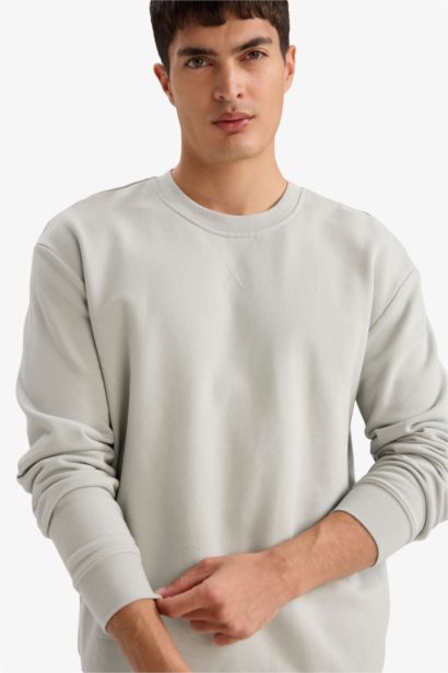 Regular Fit Cotton Basic Sweatshirt