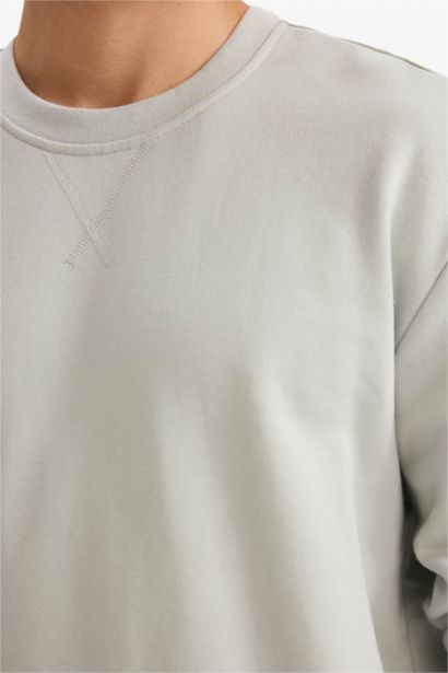 Regular Fit Cotton Basic Sweatshirt
