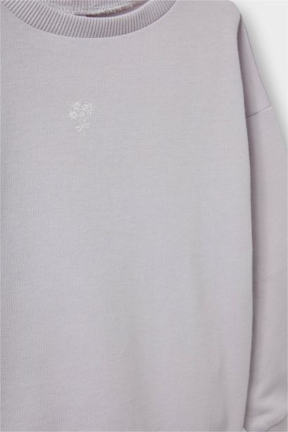 Baby Girl Basic Sweatshirt Sweatpants 2 Piece Set