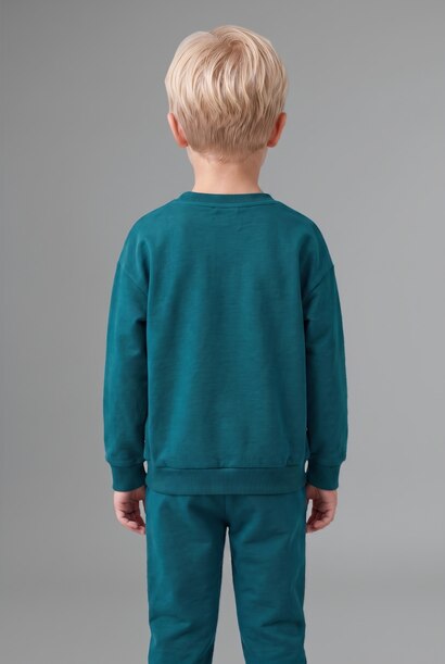 Baby Boy Sweatshirt and Pants 2 Piece Set