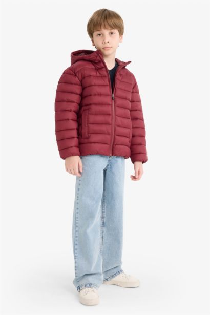 Boy Waterproof Hooded Zippered Puffer Jacket