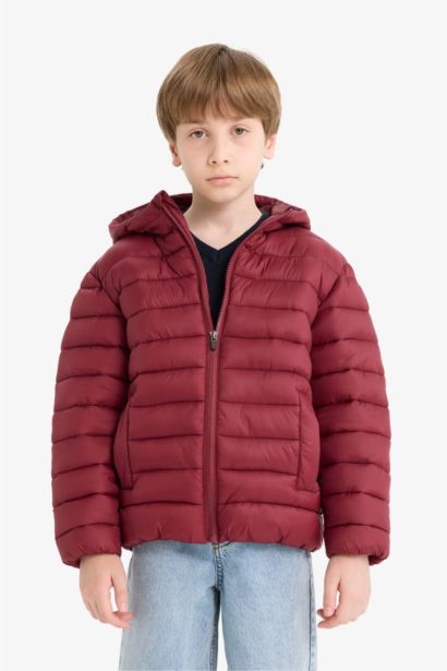 Boy Waterproof Hooded Zippered Puffer Jacket