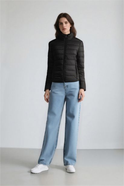 Waterproof Regular Fit High Neck Zippered Puffer Jacket