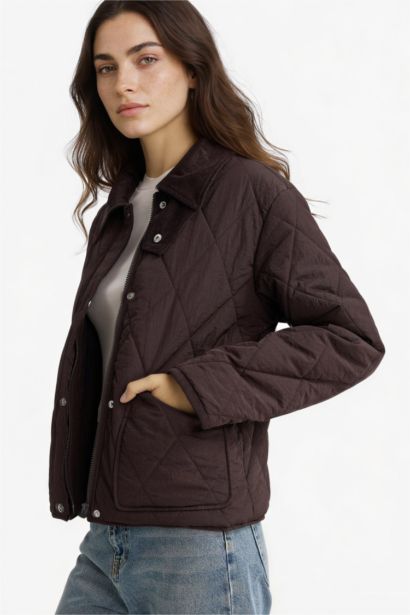 جاكيت خفيف مقاوم للماء قصة عادية وياخة بولو