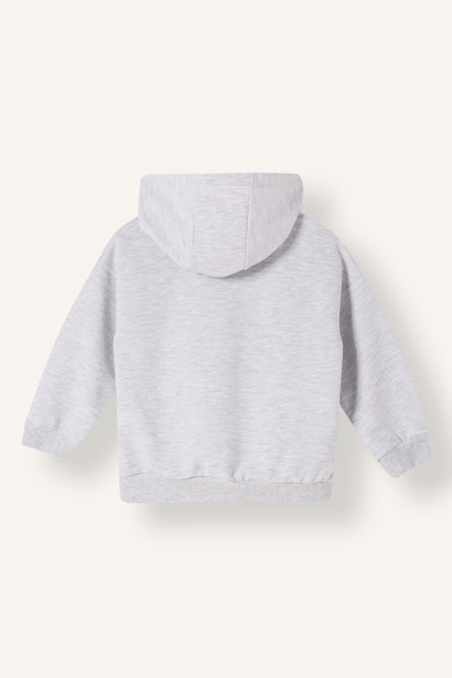 Baby Boy Zip-Up Hoodie