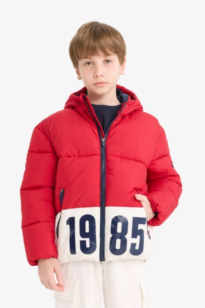Boy Waterproof Hooded Zippered Puffer Jacket