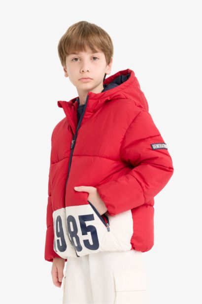 Boy Waterproof Hooded Zippered Puffer Jacket