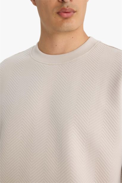 سويت شيرت بطبعة شعار قصة مريحة بياخة مستديرة