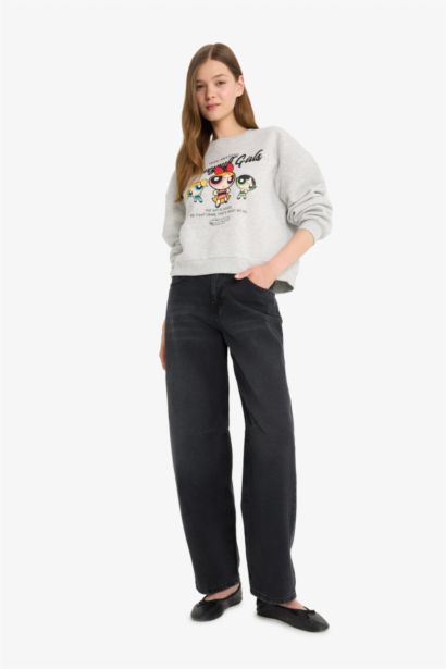 Coool PowerPuff Girls, регулярный крой, свитер с круглым вырезом, с принтом, из плотного материала