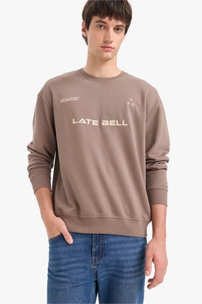 Cotton Boxy Fit Crew Neck Embroidered Sweatshirt